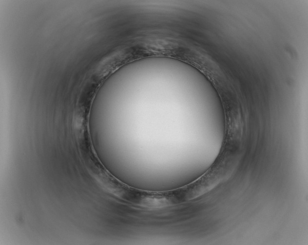 X0000115760749200911131155