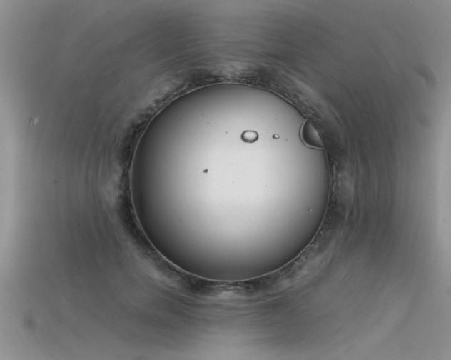 X0000115760750200911131155