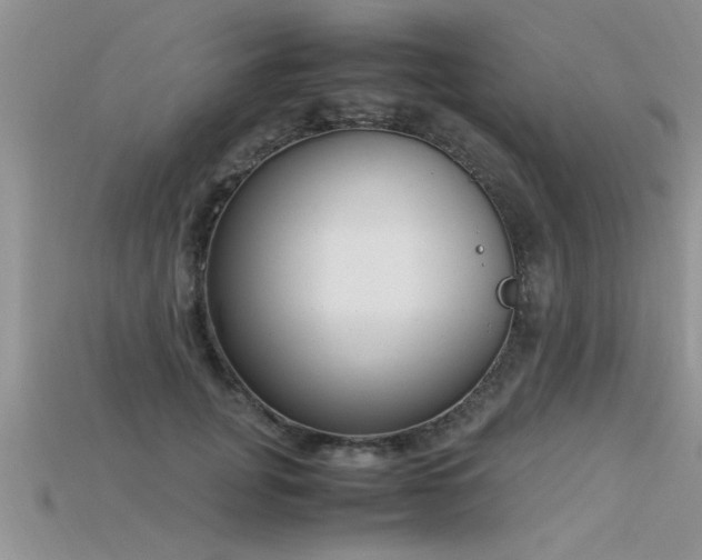 X0000115760751200911131155