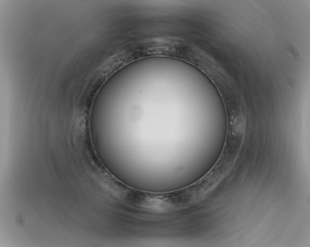 X0000115760753200911131155