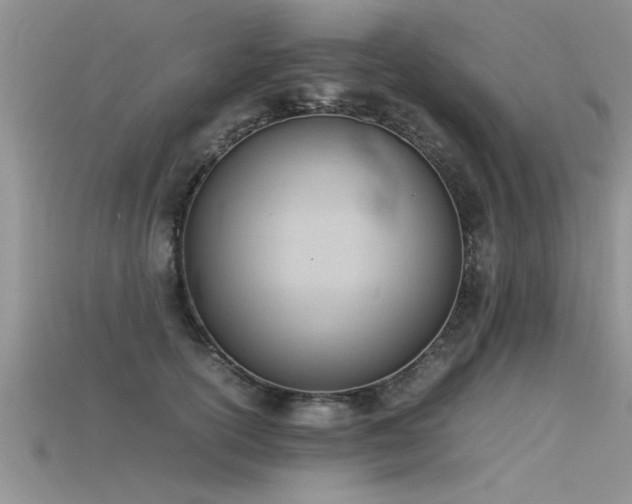 X0000115760754200911131155