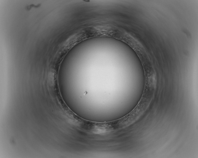 X0000115760757200911131155