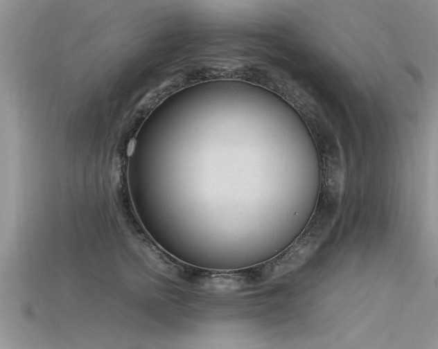 X0000115760758200911131155