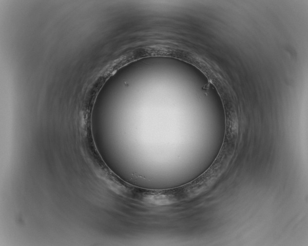 X0000115760759200911131155