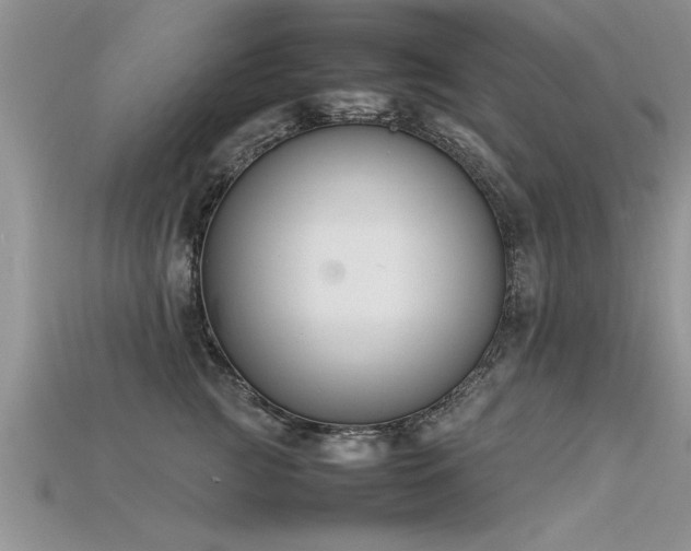 X0000115760761200911131155