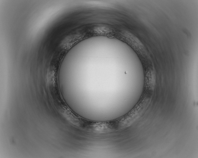 X0000115760762200911131155