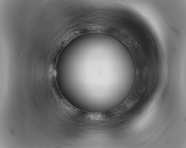 X0000115760767200911131156