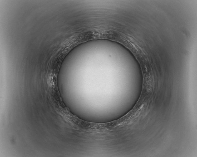X0000115760770200911131155
