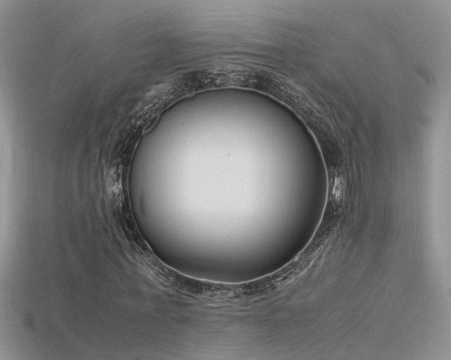 X0000115760771200911131155