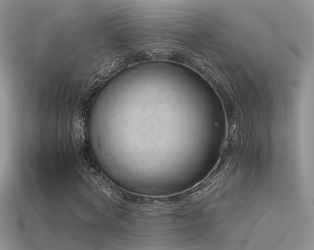 X0000115760772200911131155