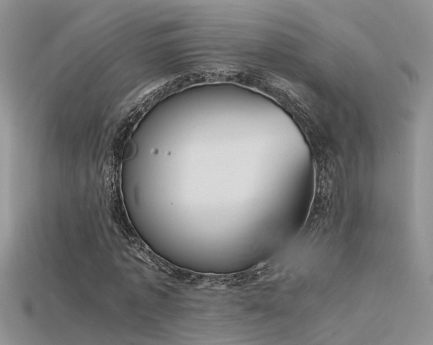 X0000115760773200911131155