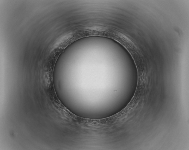 X0000115760774200911131155