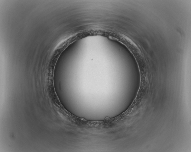 X0000115760775200911131155