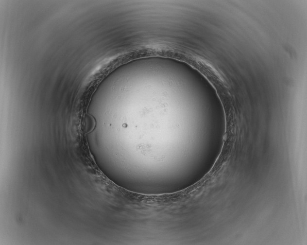 X0000115760776200911131155