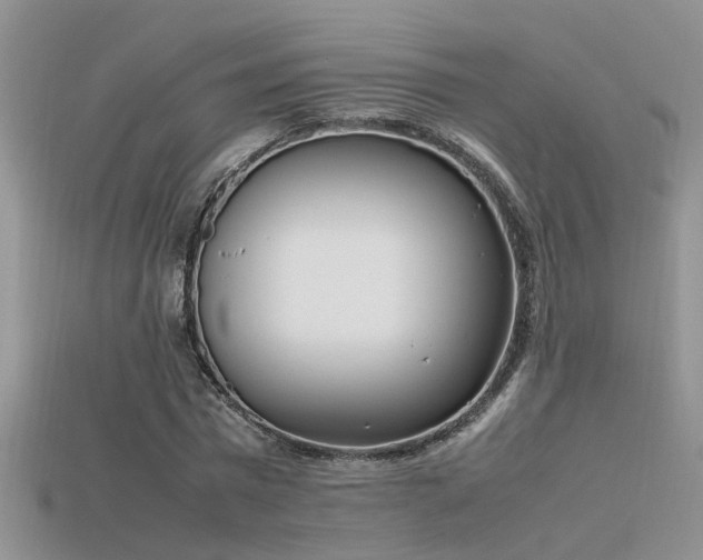 X0000115760777200911131155
