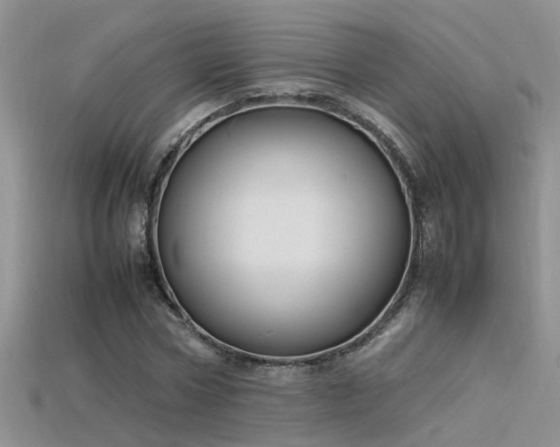 X0000115760778200911131155