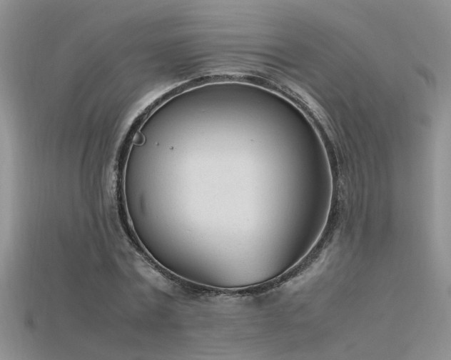 X0000115760779200911131155