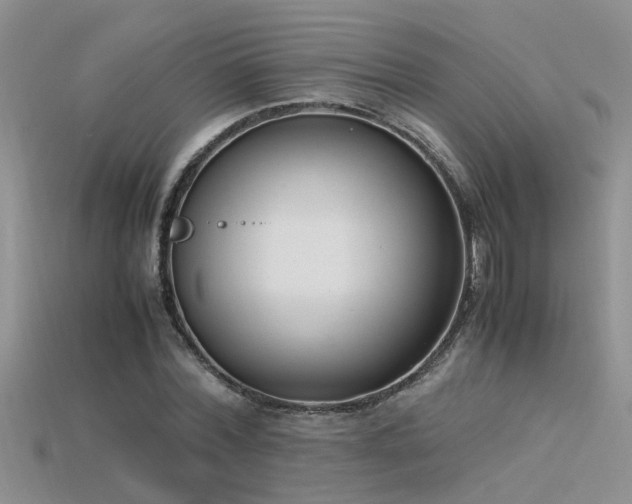 X0000115760780200911131155