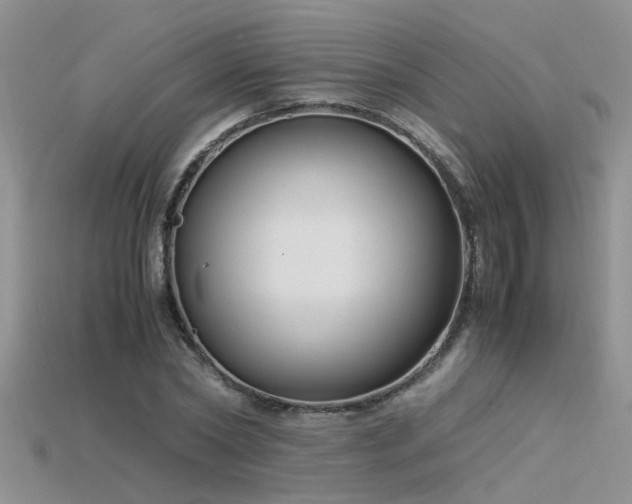 X0000115760782200911131155
