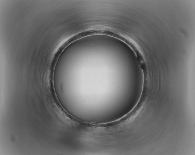 X0000115760783200911131155