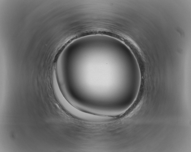 X0000115760785200911131155