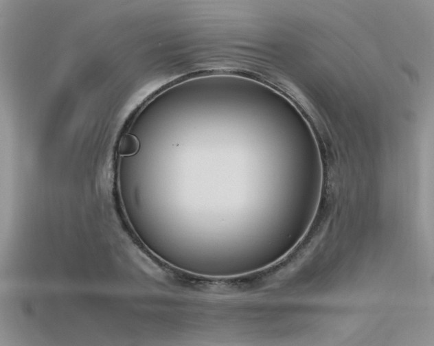 X0000115760787200911131155