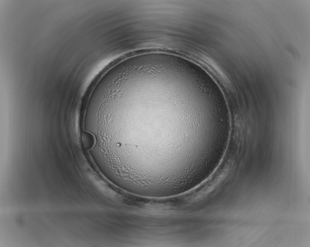 X0000115760788200911131155