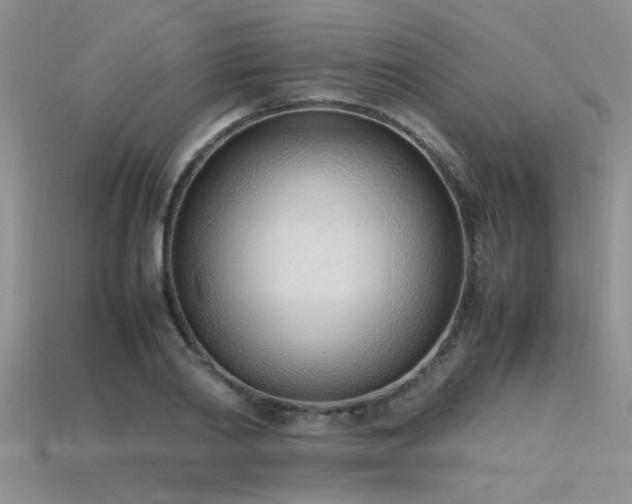 X0000115760790200911131155