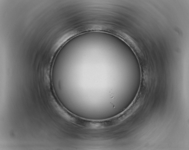 X0000115760794200911131155