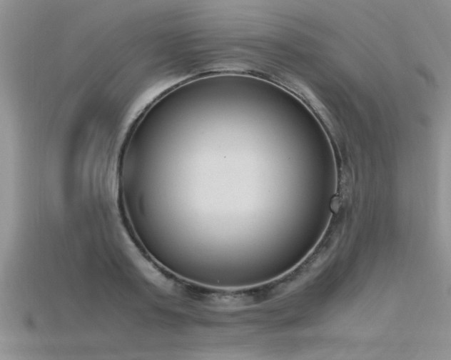 X0000115760795200911131155