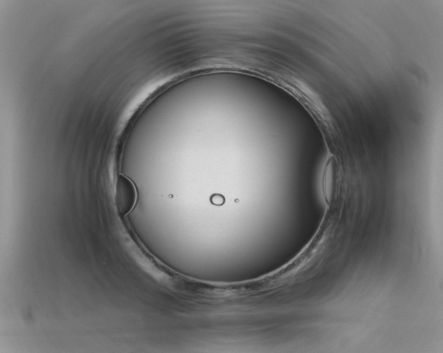 X0000115760796200911131155