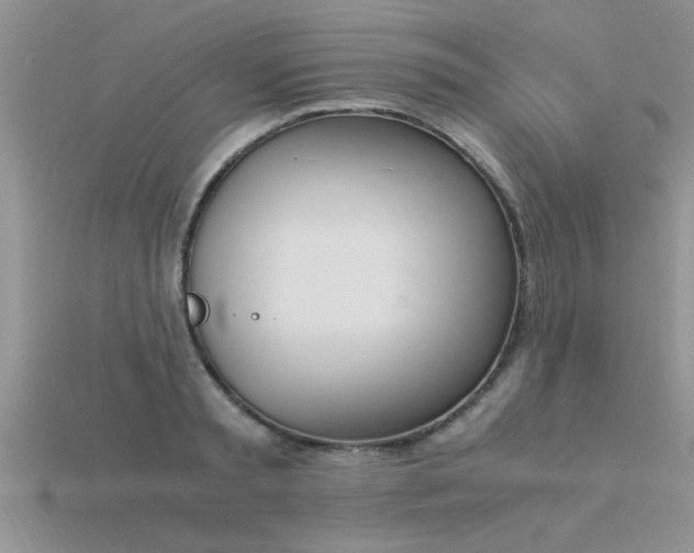 X0000115760797200911131155