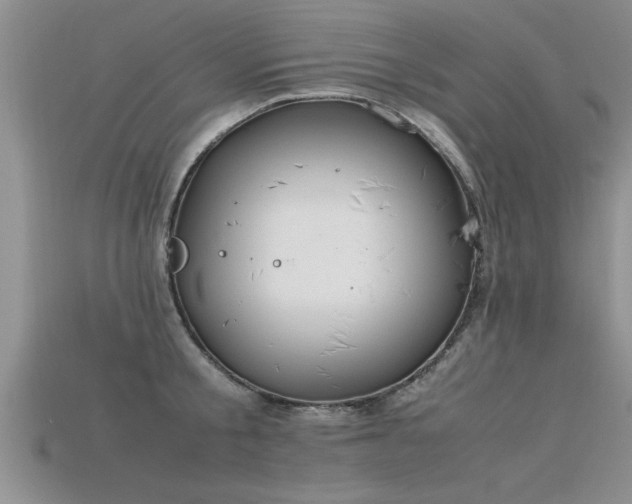X0000115760805200911131154