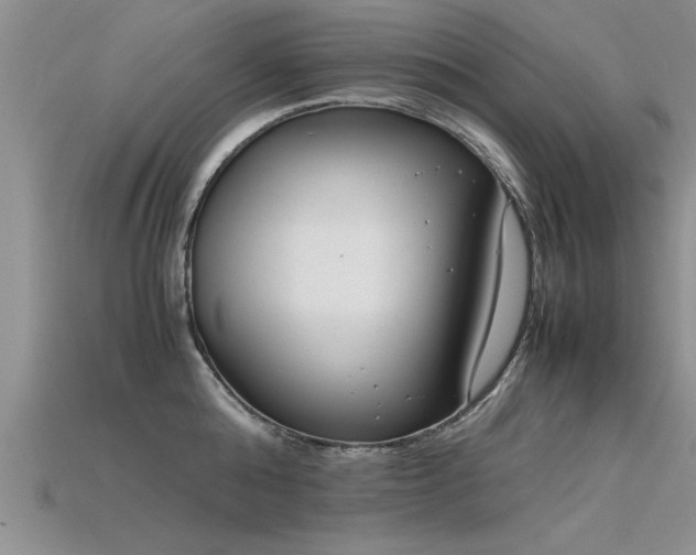 X0000115760808200911131154