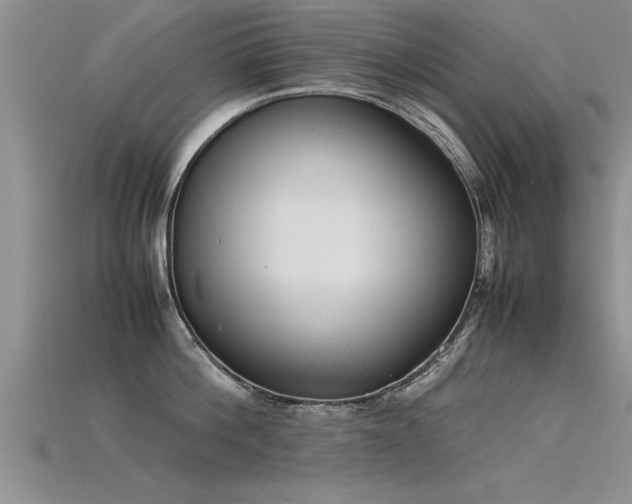 X0000115760812200911131154