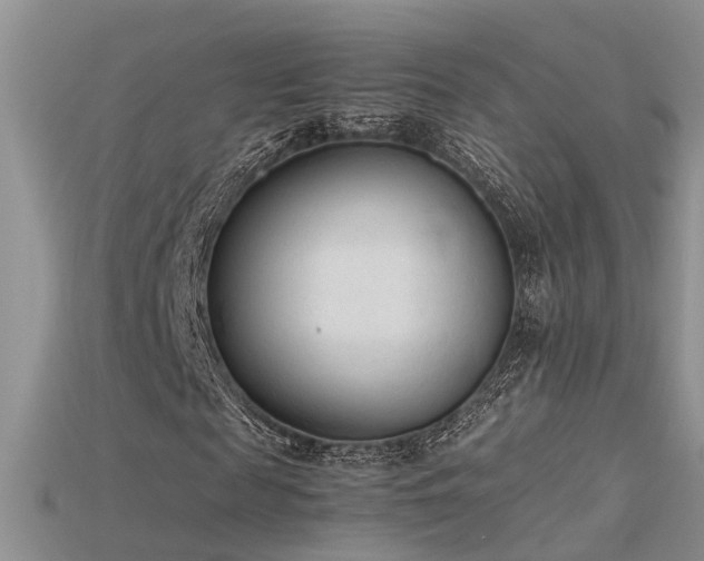 X0000115760817200911131154