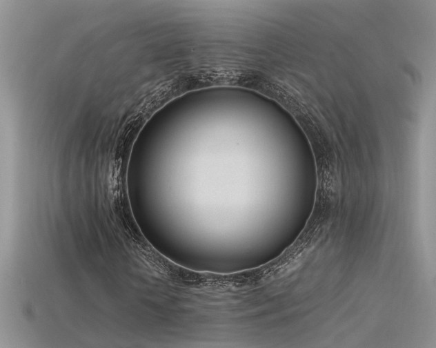 X0000115760818200911131154