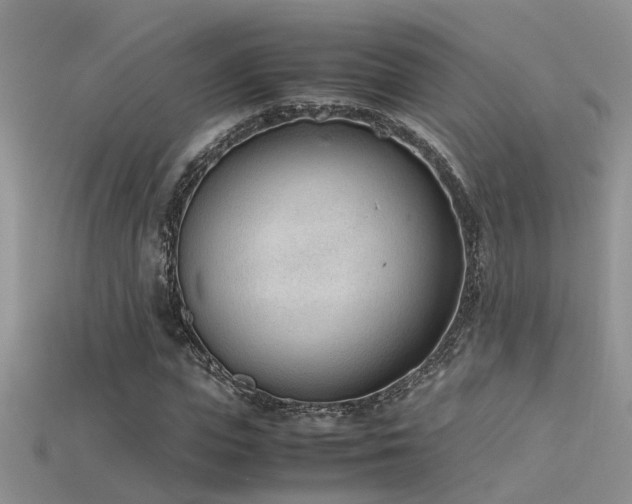 X0000115760823200911131154