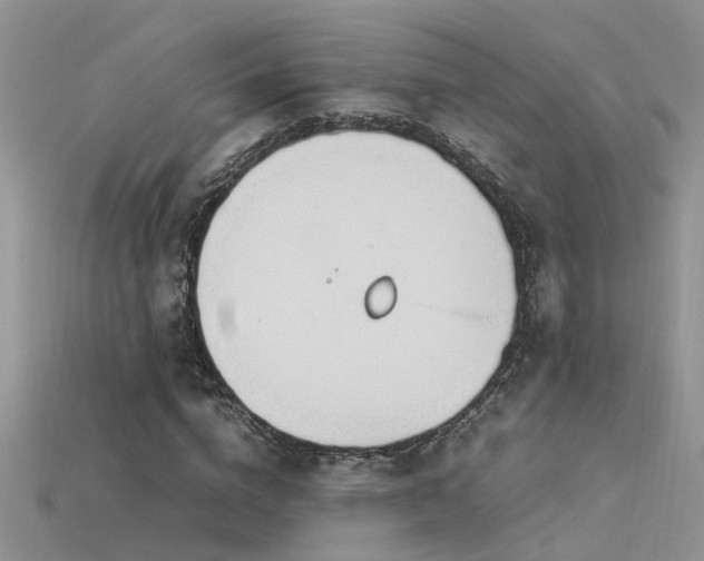 X0000115760824200911131154