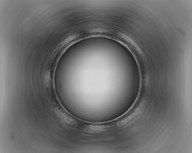 X0000115760825200911131154