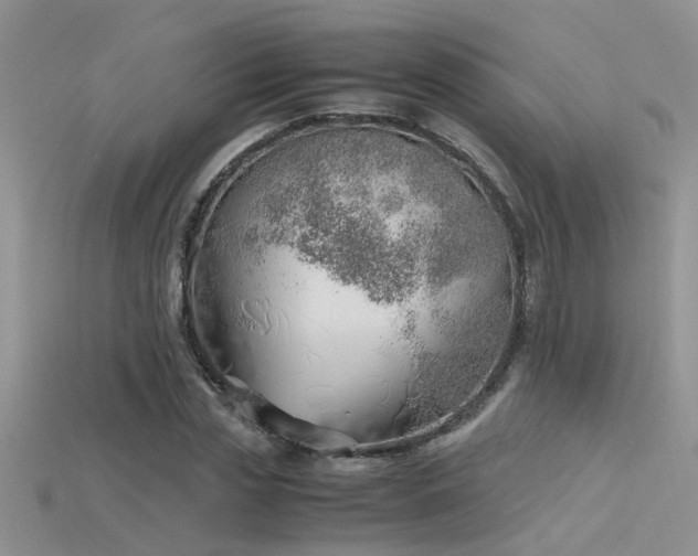 X0000115760829200911131154