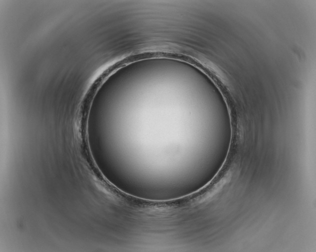 X0000115760830200911131154