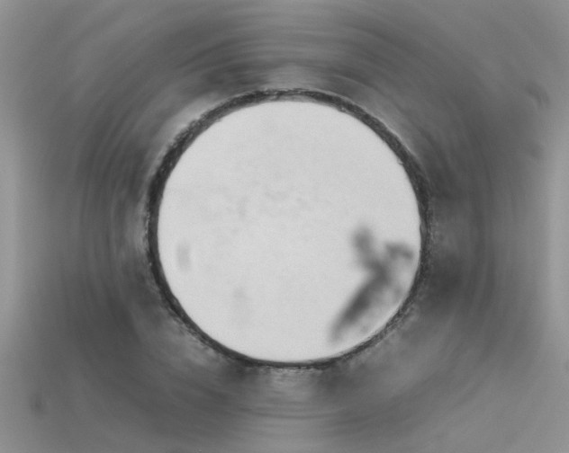 X0000115760832200911131154