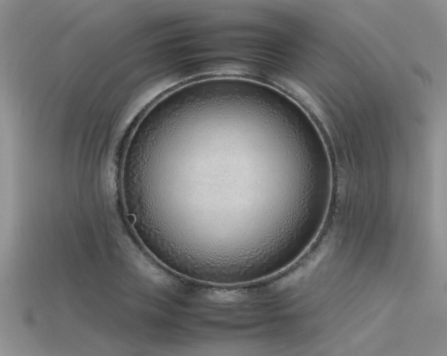 X0000115760835200911131154
