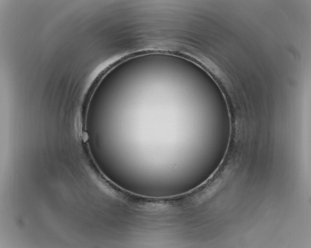 X0000115760838200911131154
