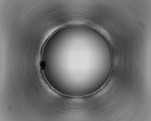 X0000115760844200911131154