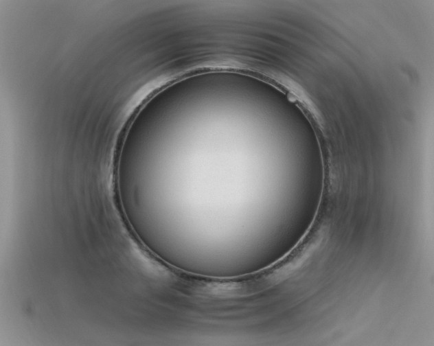 X0000115760845200911131154
