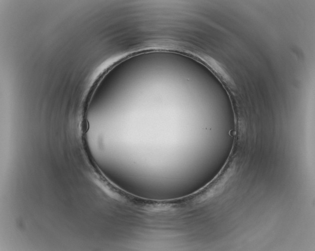 X0000115760846200911131154