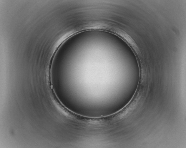 X0000115760850200911131154