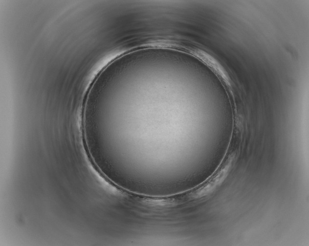 X0000115760855200911131154
